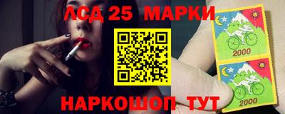 прущие грибы Будённовск