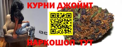 прущие грибы Будённовск