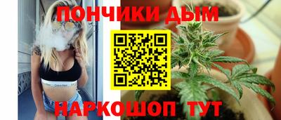 прущие грибы Будённовск