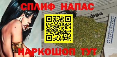 прущие грибы Будённовск