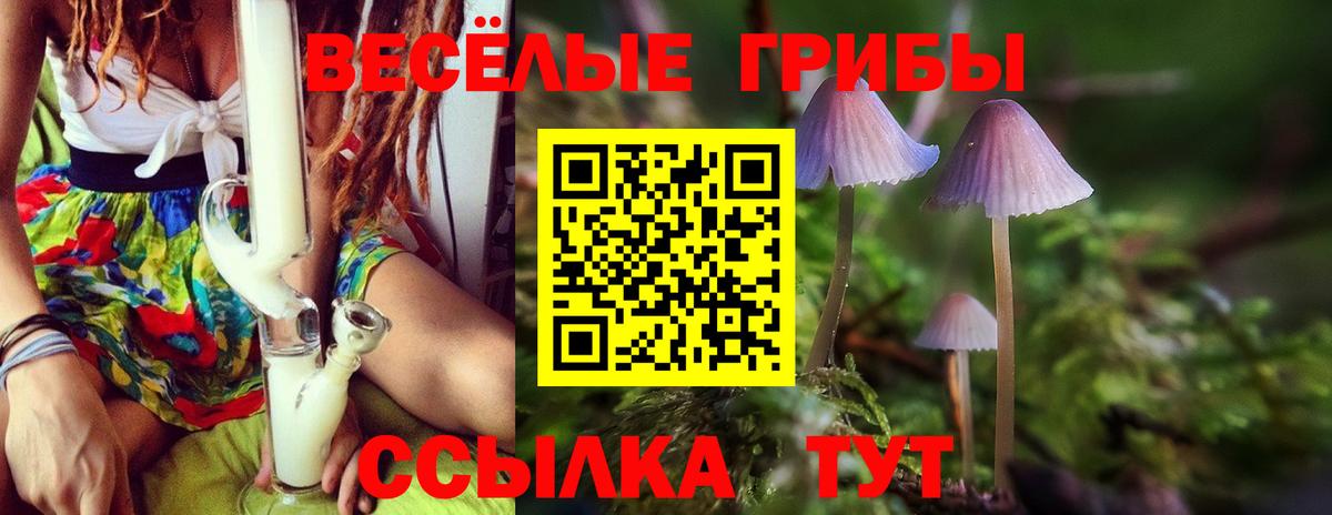 Галлюциногенные грибы прущие грибы  Вход с VPN  Красноармейск 